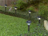 Low voltage landscape lighting marks a small hedge